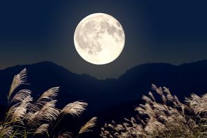 「中秋の名月」の意味を知っていますか？