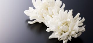 訃報を受けたらどうする？　お悔やみを伝える時のマナー