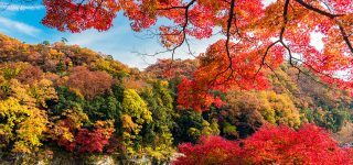 寒露とはどんな時期か？